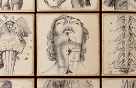 osteopathy london bridge|osteopath central london.